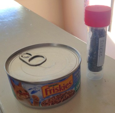 billysky-cats-only-veterinary-2