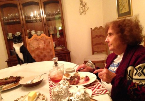Billysky cat at dinner table 3)