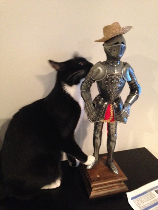 Billysky cat makes a friend