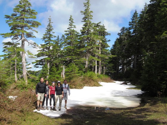 Deer Mountain Trail first snow