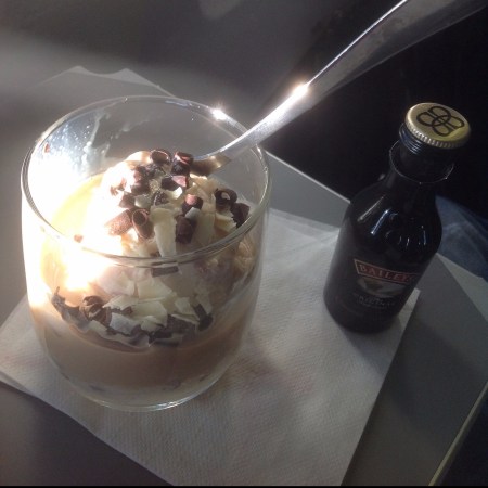 American Airlines Ice Cream Sundae