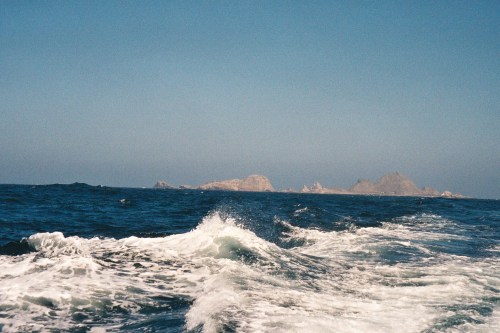 Farallon Islands