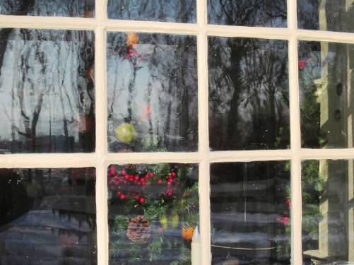 Looking inside cedar grove