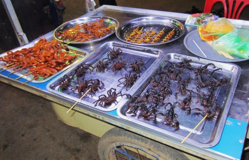 cambodian edible spiders
