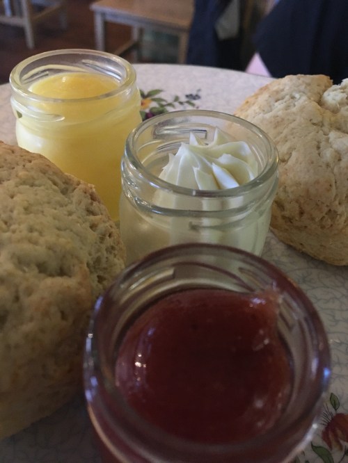 scones and cream