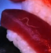 worm in sushi