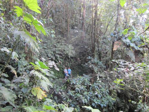 Hiking to mindo cascades