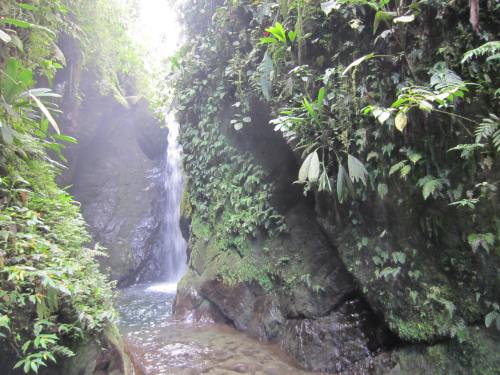 Mindo Cascades