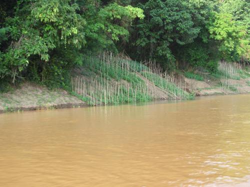 Laos Mekong Garden